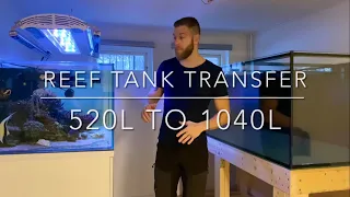 Reef tank transfer
