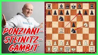 Das Ponziani-Steinitz-Gambit || Ist das Schach oder kann das weg?