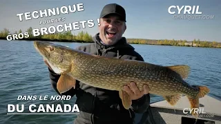 ÉNORMES BROCHETS dans le nord du Canada ! (Part 1/2)