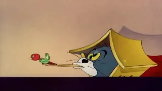 Tom and jerry 2019