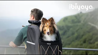 Effortlessly Carry Your Heavy Pets ｜Champion Medium-sized Pet Carrier Backpack