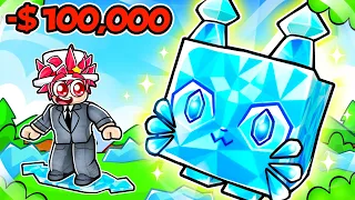 Spending $100,000 To Get HUGE DIAMOND CAT And Hoverboard!