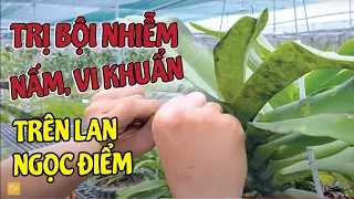 Lan Ngọc Điểm Bị Nhiều BỆNH Một Lúc Cứu Nhanh Còn Kịp | #MêLanTV