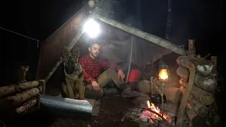 2 Days Winter Camp in the Wilderness with My Dog - Bushcraft Shelter Camping, Asmr