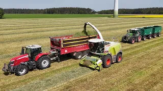 CLAAS JAGUAR 940 am Gras häckseln / Abfahrer FENDT 724, MASSEY FERGUSON 7726 & FENDT 930 / 4K