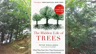 The Hidden Life Of Trees - REVIEW: It Changed My View Of Nature Forever