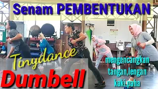 SENAM PEMBENTUKAN dengan DUMBELL mengencangkan tangan bahu dan kaki | Tinydance