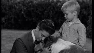 Lassie - Episode 116 - "Transition" - Season 4, #13  (12/01/1957)