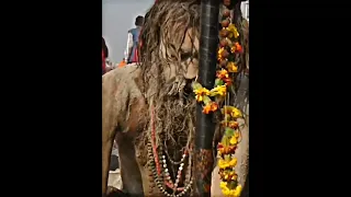 power of Aghori | Aghori | Sanatan dharma | paradox | #trending #shorts 🚩🚩🙏🕉️