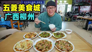 广西柳州五菱美食城，13元小炒菜，2元炭烤肉串，阿星吃博白白切Wuling Food Street in Liuzhou, Guangxi