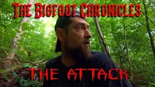 The Bigfoot Chronicles Ep.5 The attack