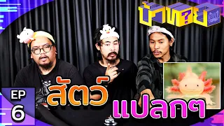 OHANA บ้าทาย EP.6 : ทายชื่อสัตว์แปลกๆ มีตัวแบบนี้ด้วยหรอ!!