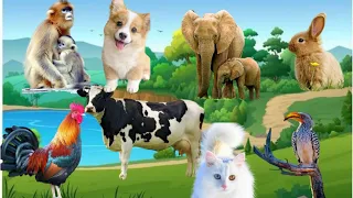Cute little animals - Elephant, dog, duck, goat, rabbit - Animals Jingle
