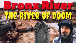 The rise and fall of the Bronx River #hiddengem #bronxriver @Trailturd #bronxriverdolphins