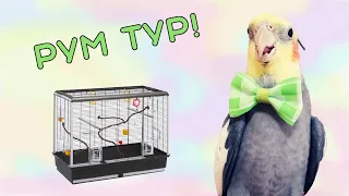Что в клетке у моих попугаев? РУМ ТУР!