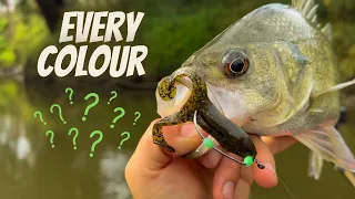 Zman Finesse Frog Challenge | Can I catch a BASS on EVERY COLOUR??