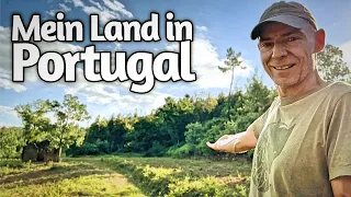 Wild Spirit Land - Das ist mein Land in Portugal - So habe ich mein Grundstück in Portugal gefunden