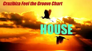 "Crazibiza Feel the Groove Chart" - Beatport  charts 2024
