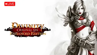 Divinity Original Sin Enhanced Edition - Gameplay (1080p/PC/UHD) With @noxiousrishu