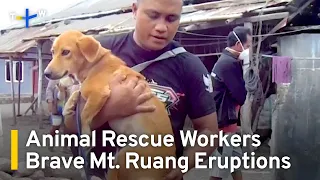 Indonesian Volunteers Rescue Pets Abandoned After Mt. Ruang Eruption  | TaiwanPlus News
