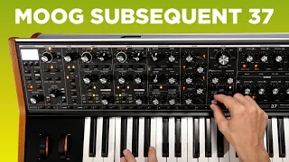 Moog Subsequent 37 Sounds