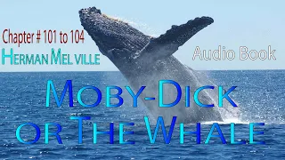 MOBY-DICK OR THE WHALE | HERMAN MELVILLE | AUDIO BOOK CHAPTER #101 to 104