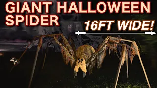 DIY GIANT HALLOWEEN SPIDER