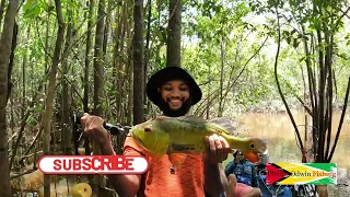 Extreme Fishing for Peacock Bass (LUKANANI).