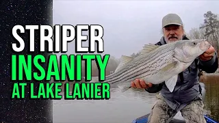 Striper Insanity At Lake Lanier #fcpfishing