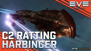 HARBINGER Solid Starter Wormhole Ratting  || EVE Online