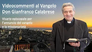 Videocommento al Vangelo - Domenica 28 aprile 2024 - V Domenica di Pasqua  (Anno B)