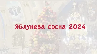 «Яблунева сосна – 2024» с.Гусаків