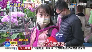 花市擠爆! 民眾瘋買年花 "放這地方"招財又旺運│中視新聞 20230120