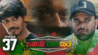 Kodi Gaha Yata | Episode 37 - (2023-07-15) | ITN