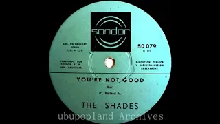 The Shades - You're Not Good. (Uruguay 60s Garage Rock) HQ