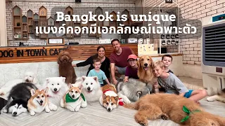 Awesome Family Day in BANGKOK THAILAND! What is a DOG CAFE?