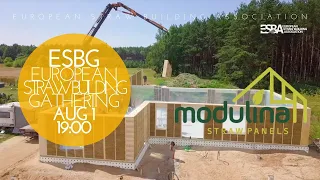 Aug 1, 19:00: Modulina Straw Panels @ESBG2021