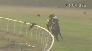 Enabler wins  the HPSL Indian Derby 🐎 (Gr.1) Ruler Of The World(IRE)    Mumbai ❤️🐎💞✌️🥇🐴🏇🐎🐴