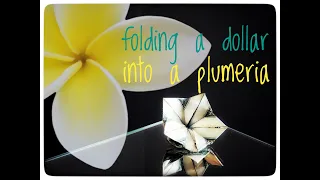 How to Fold a Dollar Bill into a Plumeria Flower