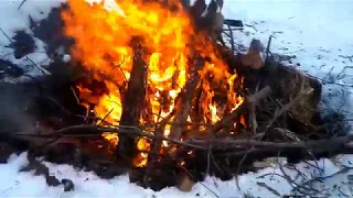 The Most Effective Way to Burn Tree Stumps