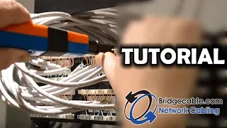 How to Punch Down CAT6 Network Cabling into a Patch Panel | BridgeCable.com