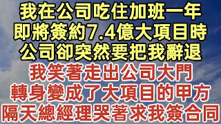 我在公司吃住加班一年！即將簽約7.4億大項目時！公司卻突然要把我辭退！我笑著走出公司大門！轉身變成了大項目的甲方！隔天總經理哭著求我簽合同！#落日溫情#中老年生活#為人處世#生活經驗#情感故事