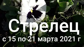 Стрелец Таро-гороскоп с 15 по 21 марта  2021 г.