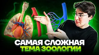 Самая сложная тема зоологии | Биология ОГЭ 2023 | Умскул