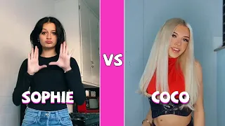 Sophie Fergi Vs Coco Quinn TikTok Dances Compilation (January 2022)