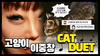 Cat Duet by Rossini (CAT VOCALIZATION) 고양이들의 사랑과 전쟁! #meow