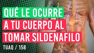 Que le ocurre a tu cuerpo cuando tomas #sildenafil