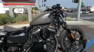 2018 Harley Davidson Iron 883 / Walk Around / Start Up / Sound Clip