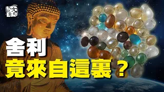 唐太宗迎指骨舍利 開大唐皇帝先河 佛陀舍利放大一千倍畫面驚人|歷史故事|文史大觀園