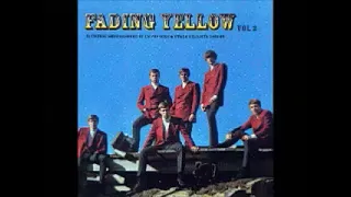 Various – Fading Yellow Vol 2 (Course Smorgasbord Of US Pop-Sike & Other Delights 1965-69) Psych LP